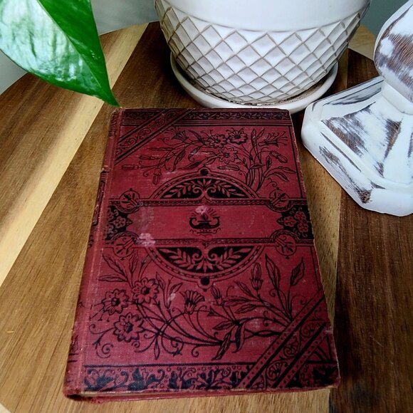 Set of 3 James Fenimore Cooper Hard Cover Novels, The Red Rover, The Spy, The Tw - Picture 6 of 9